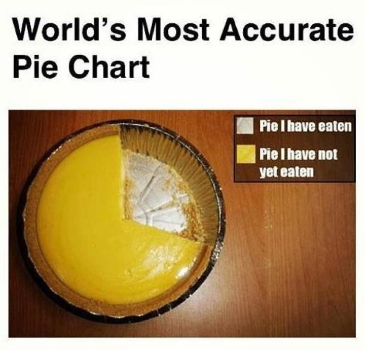 crazily accurate pie charts