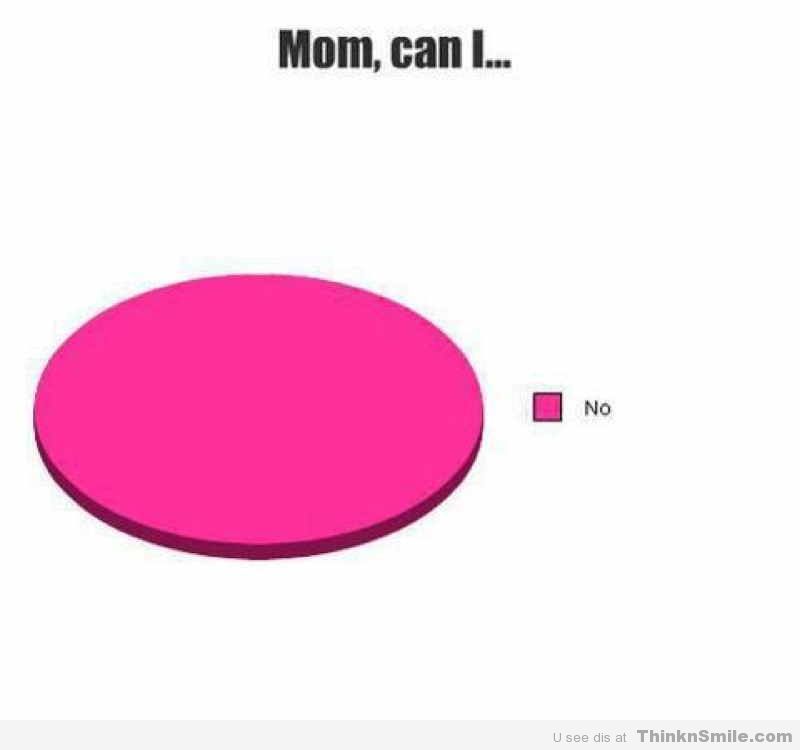 crazily accurate pie charts