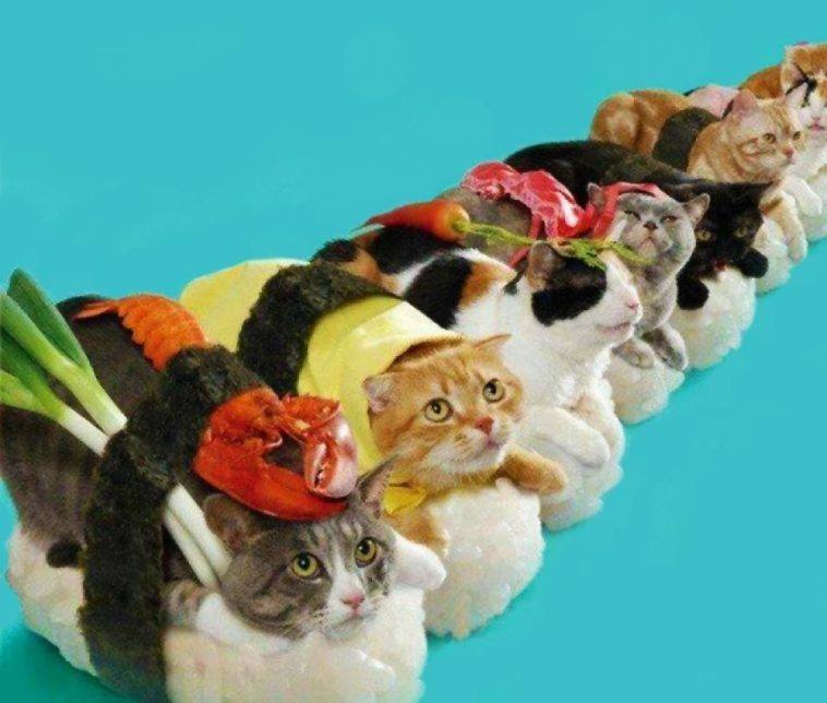 The Weirdest Sushi