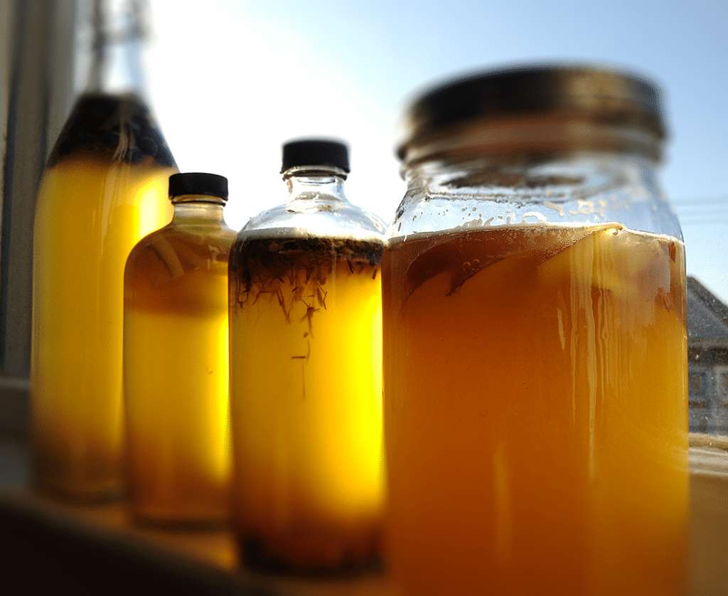 Kombucha