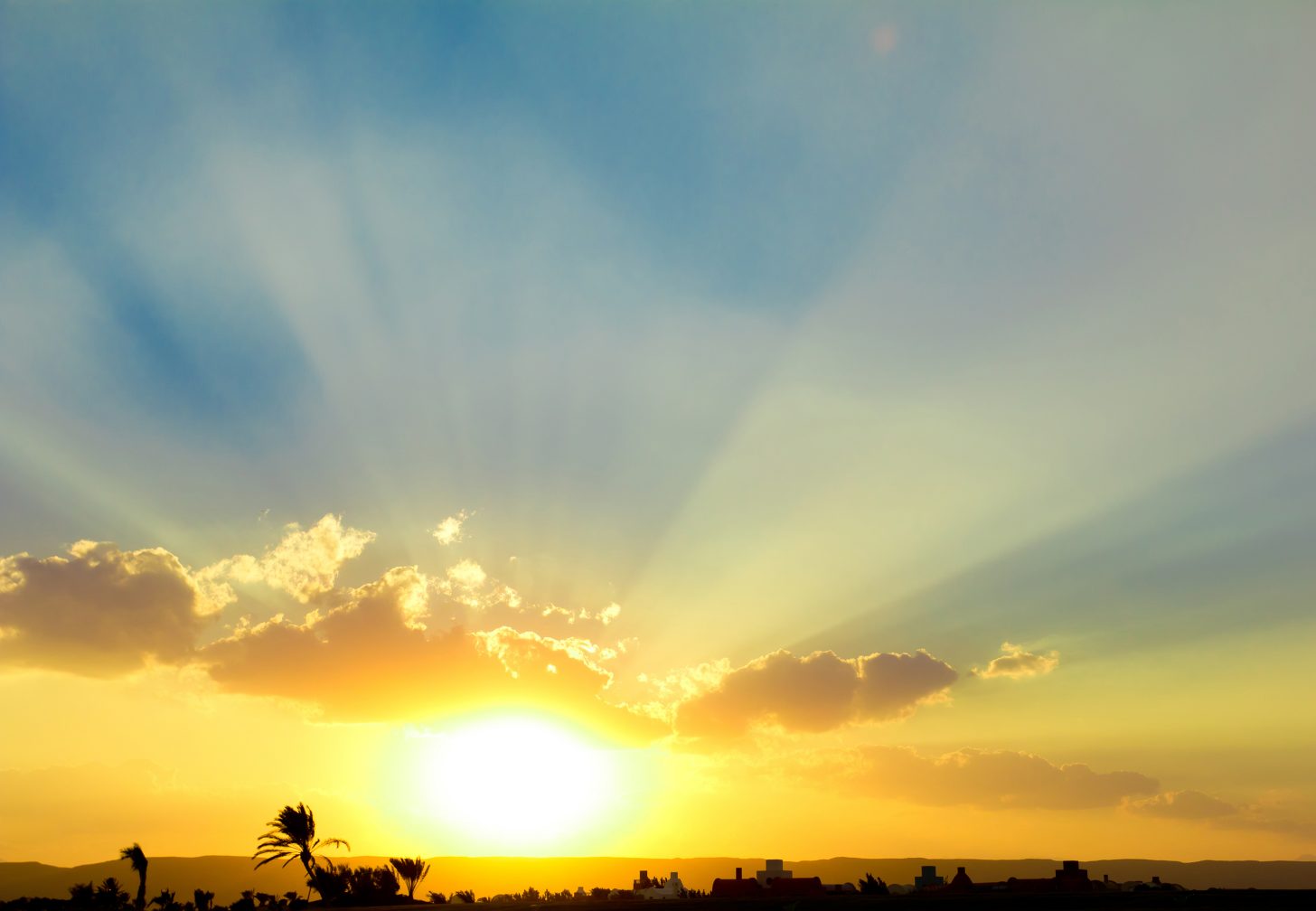 New Sun Is Rising - Brilliant News