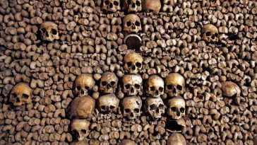 Catacombs Of Paris