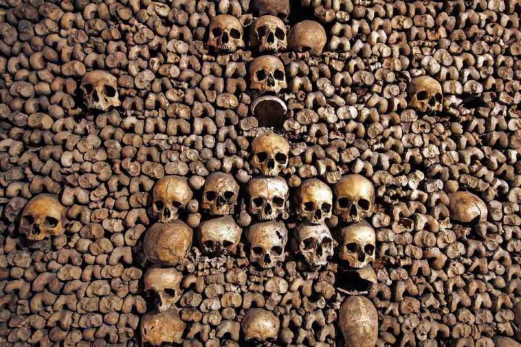 Catacombs Of Paris