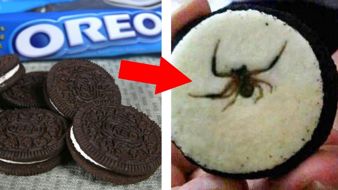 10 Shocking Things Found in Your Favorite Foods! Brilliant News