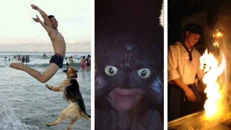 Amazing Perfectly Timed Photos That Will Make You Smile!