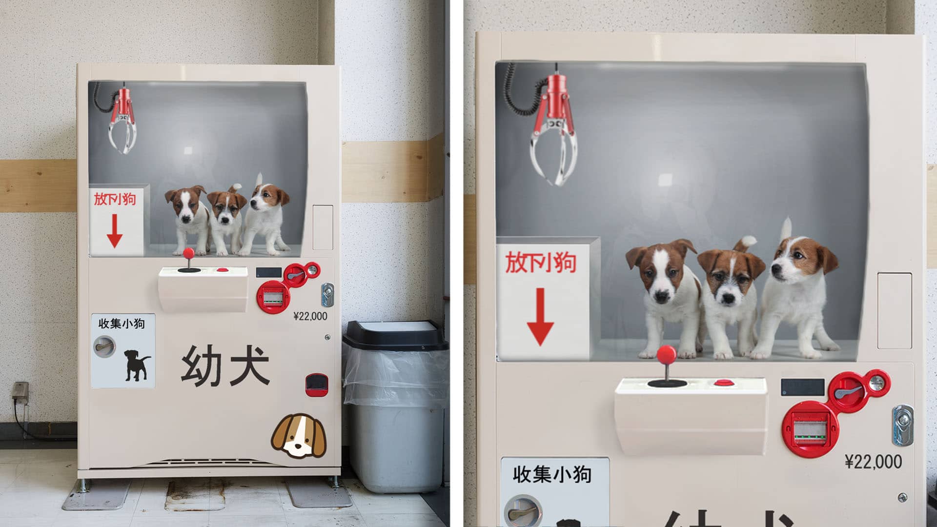 10 Craziest Things You Can Buy in Japanese Vending Machines! o_O